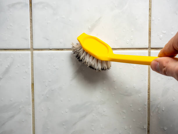 Best Mold Remediation for Schools in Ke Arthur, LA