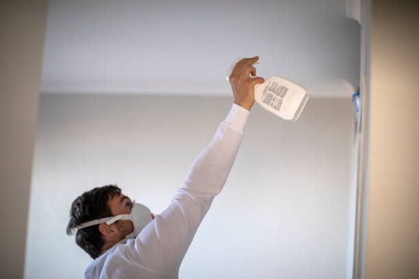 Best Insurance-Related Mold Remediation in Ke Arthur, LA