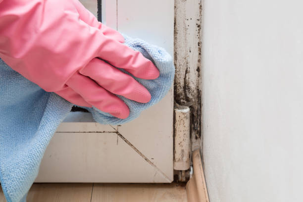 Best Industrial Mold Remediation in Ke Arthur, LA